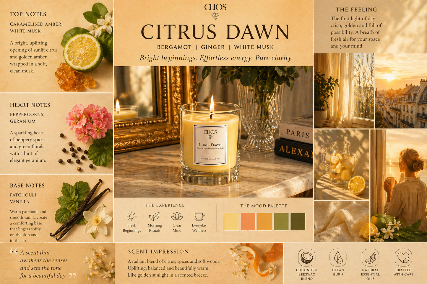 Citrus Dawn - Bergamot, Ginger & White Musk