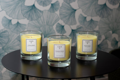 Citrus Dawn – Bergamot, Ginger & White Musk
